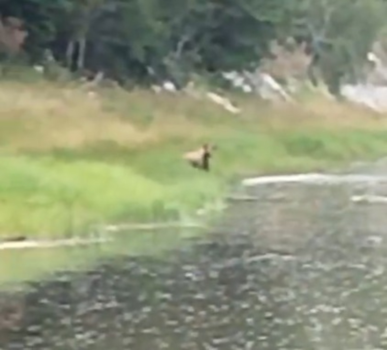 скрин видео