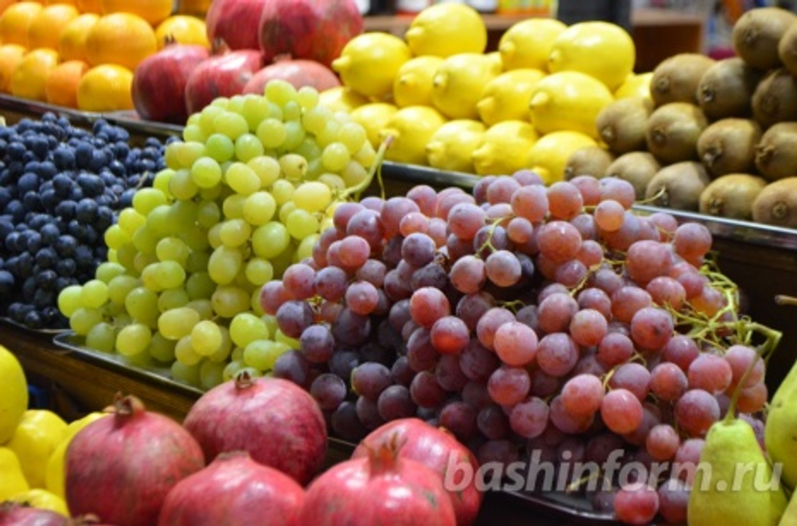 автор фотоһы