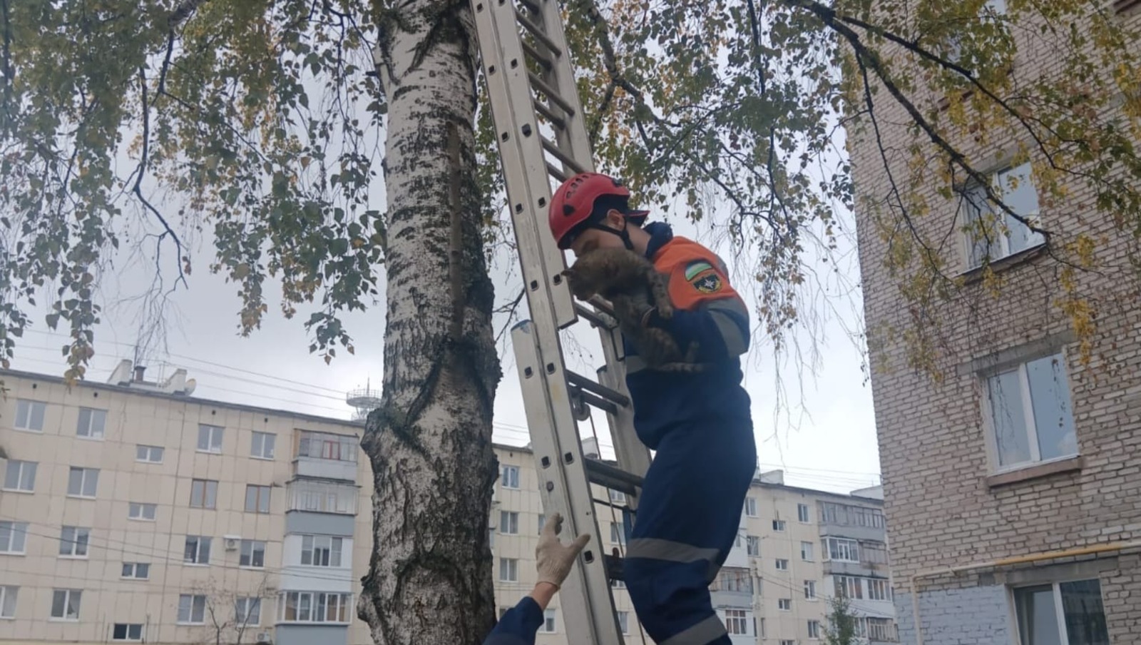 госкомитет РБ по ЧС
