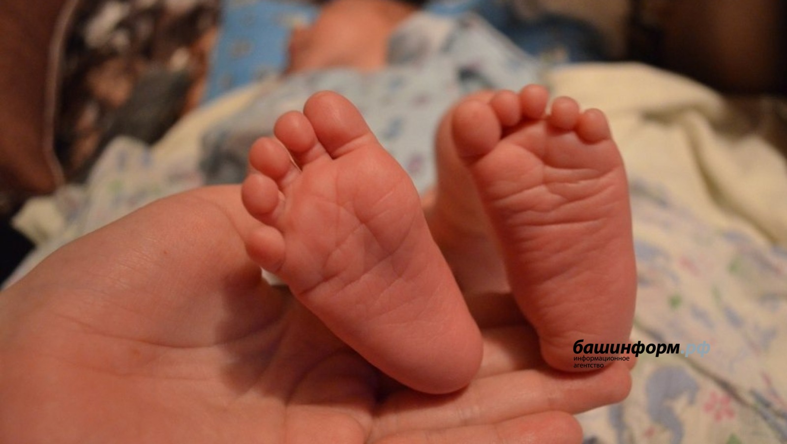 Ксения Калинина