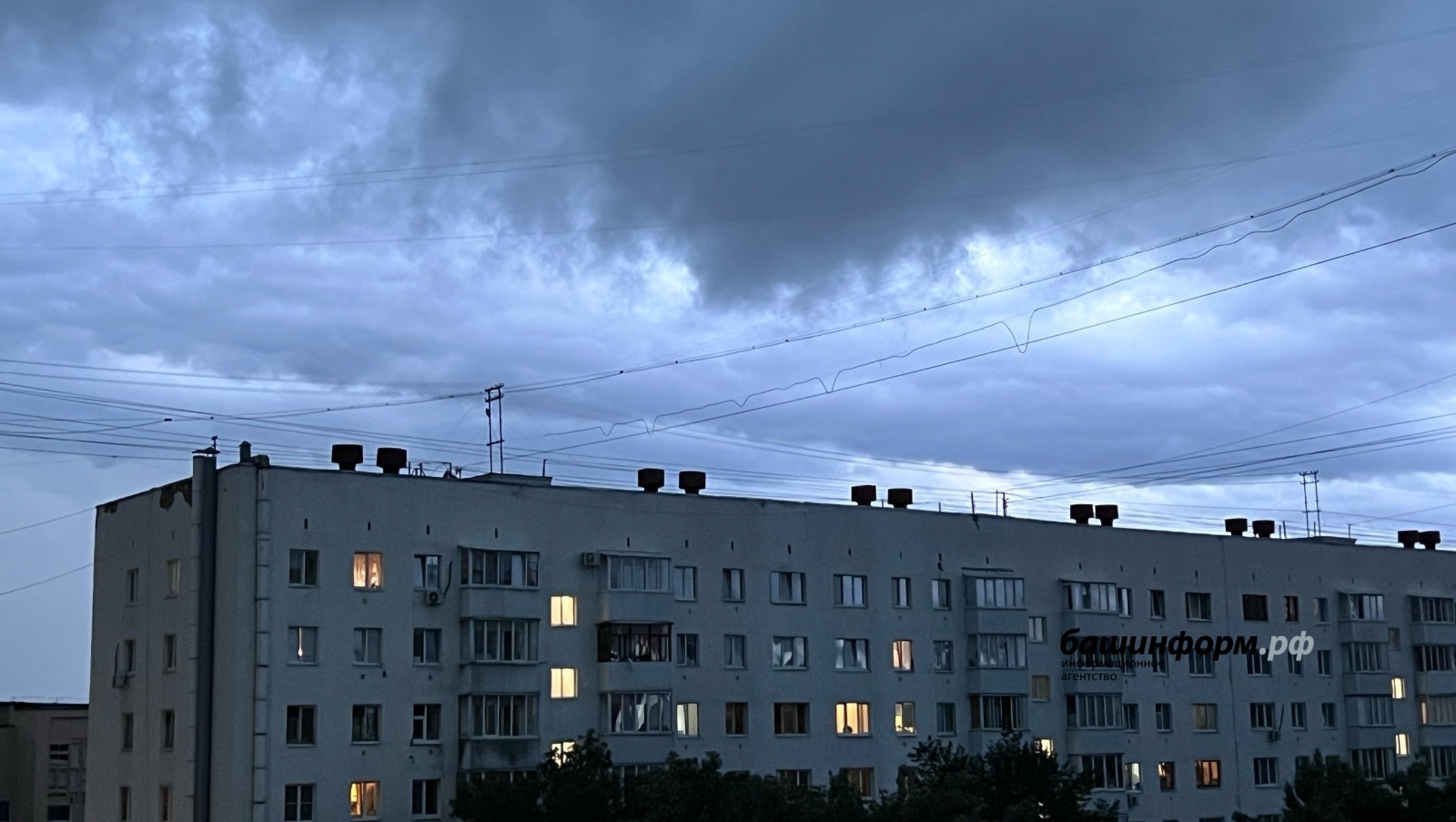 Ксения Калинина