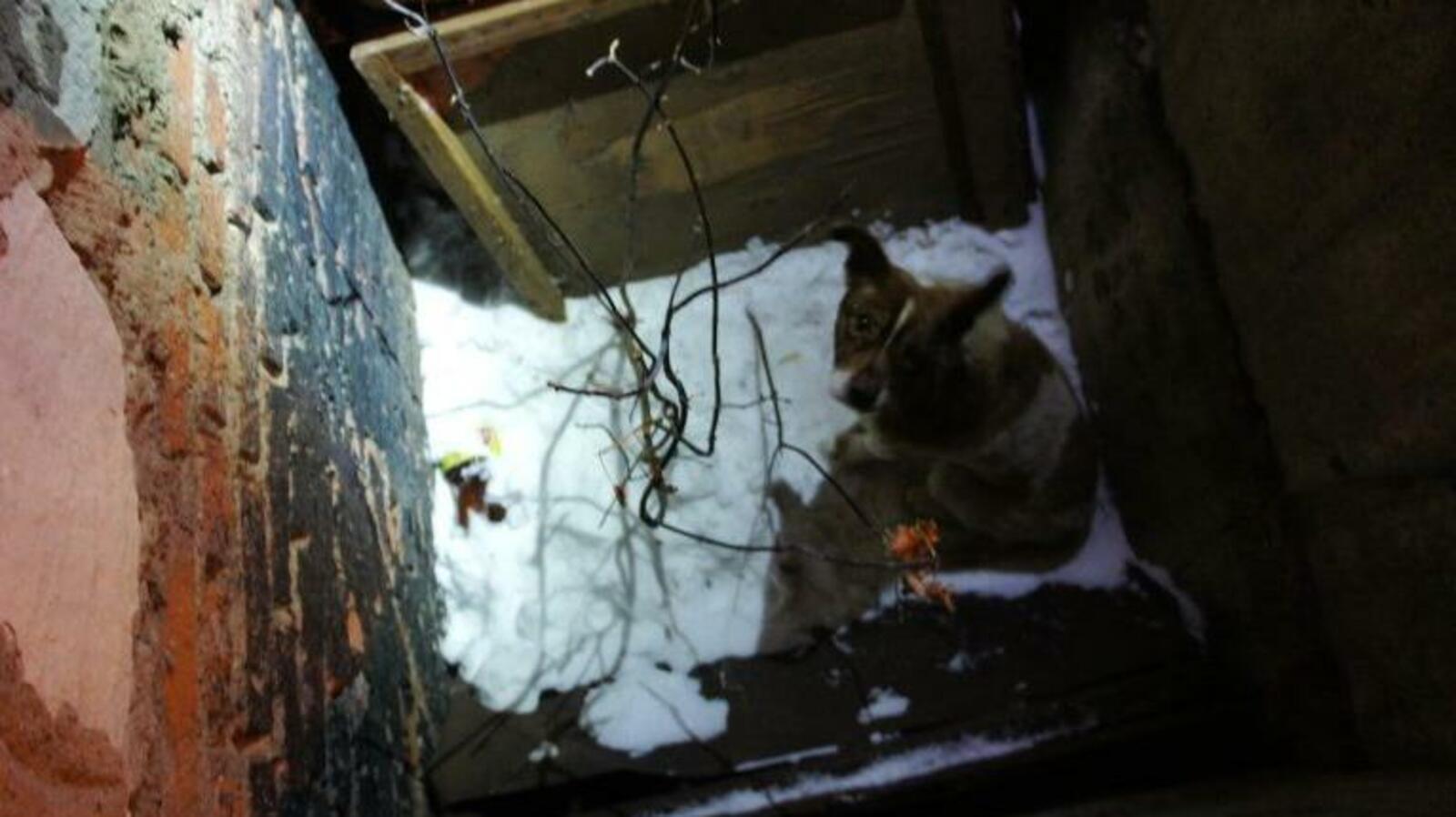 уфимская служба спасения 112