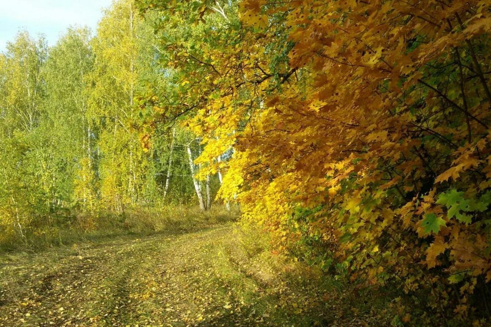 Краснокамский район Башкортостан природа