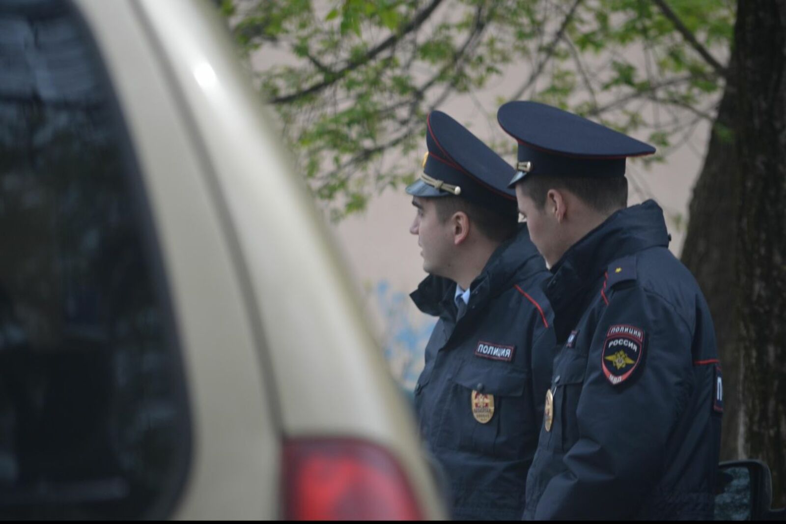 автор