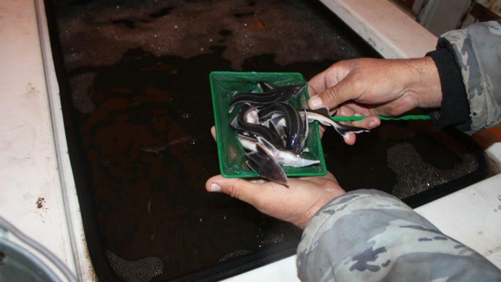 Минэкологии РБ