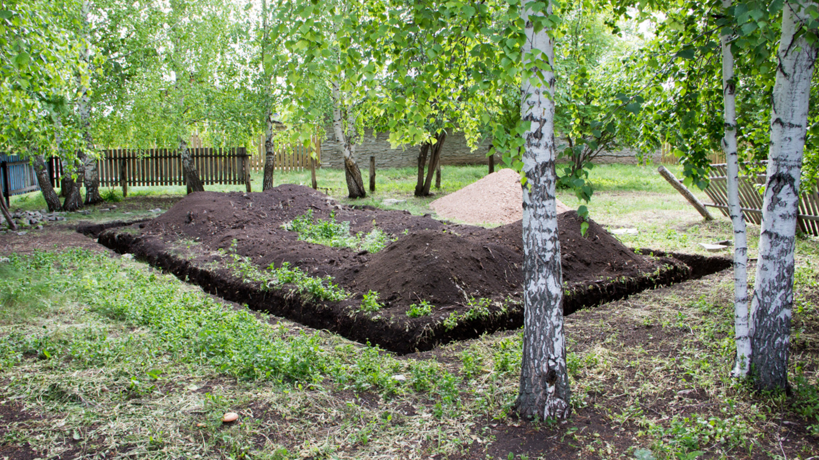 Георгий Шишкин