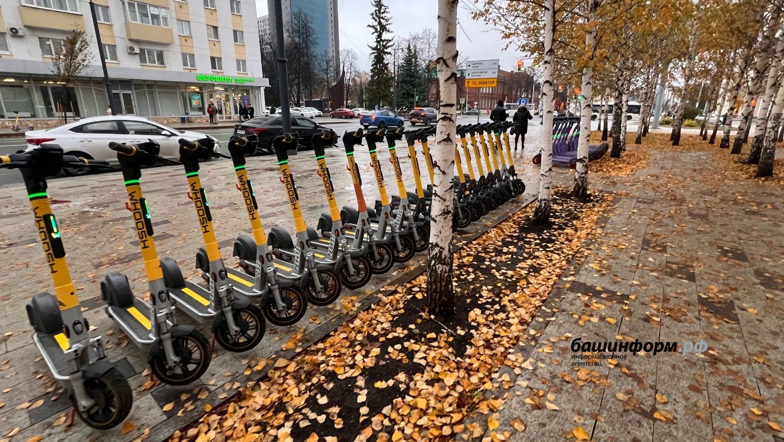 Ксения Калинина   ИА «Башинформ»