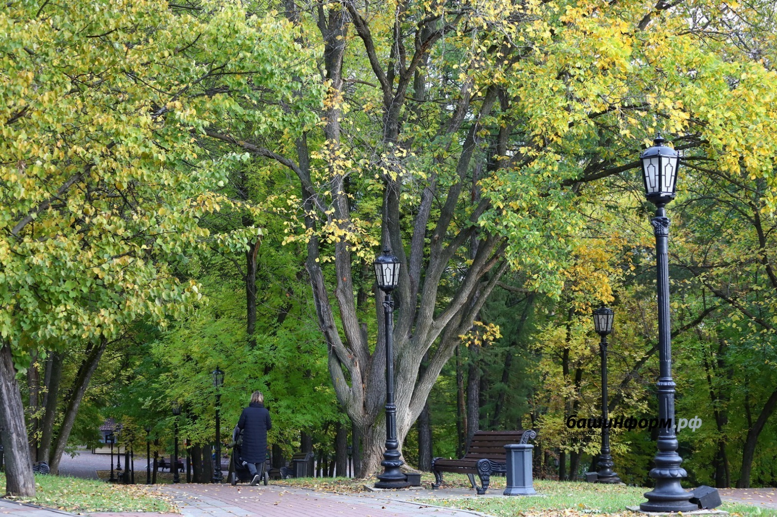 Валерий Шахов