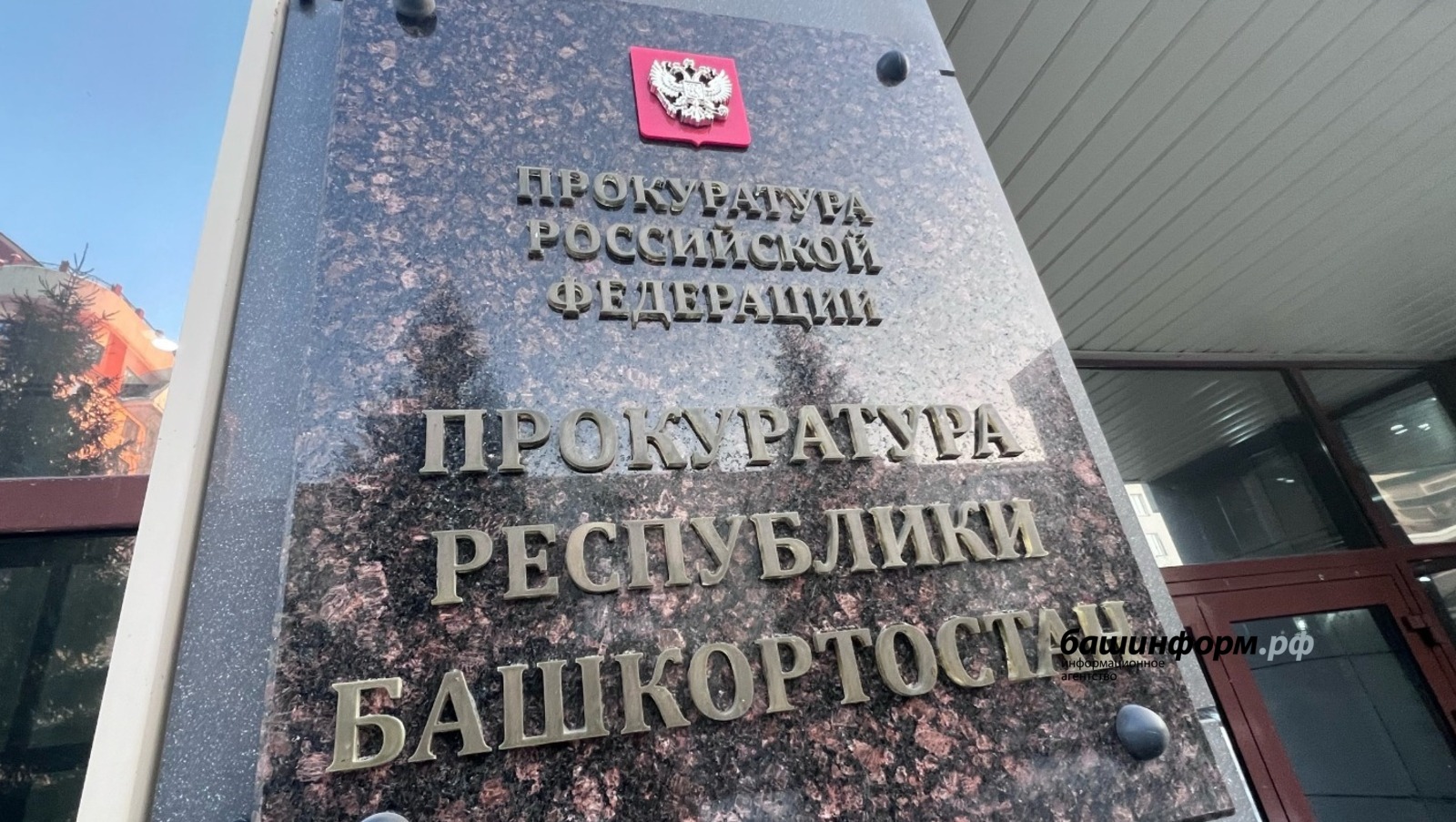 Ксения Калинина