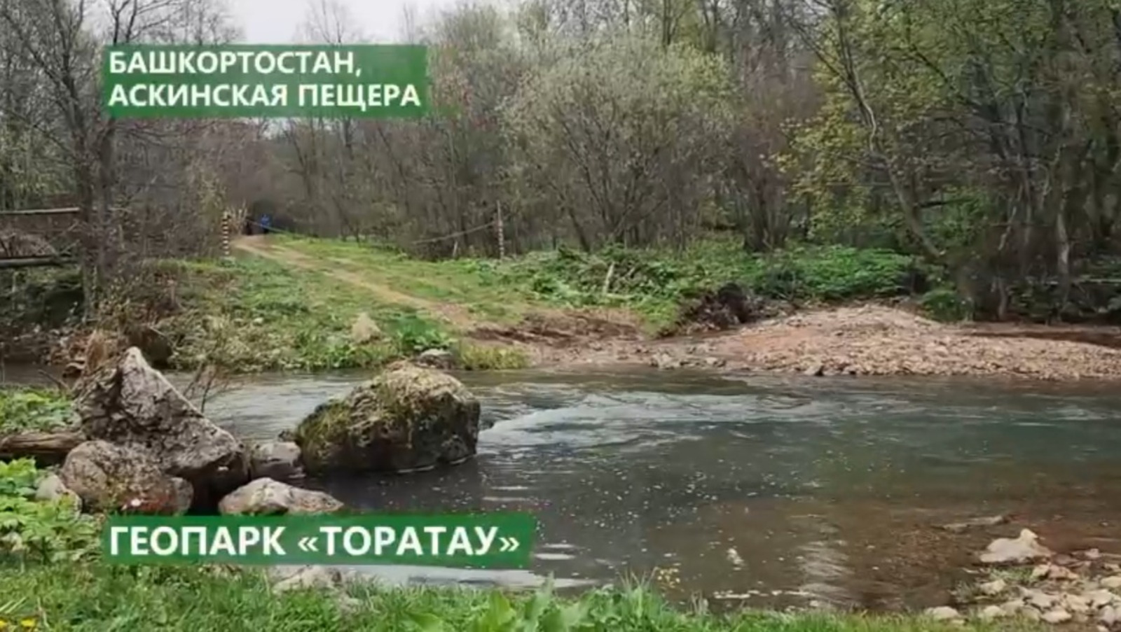 Соцсети