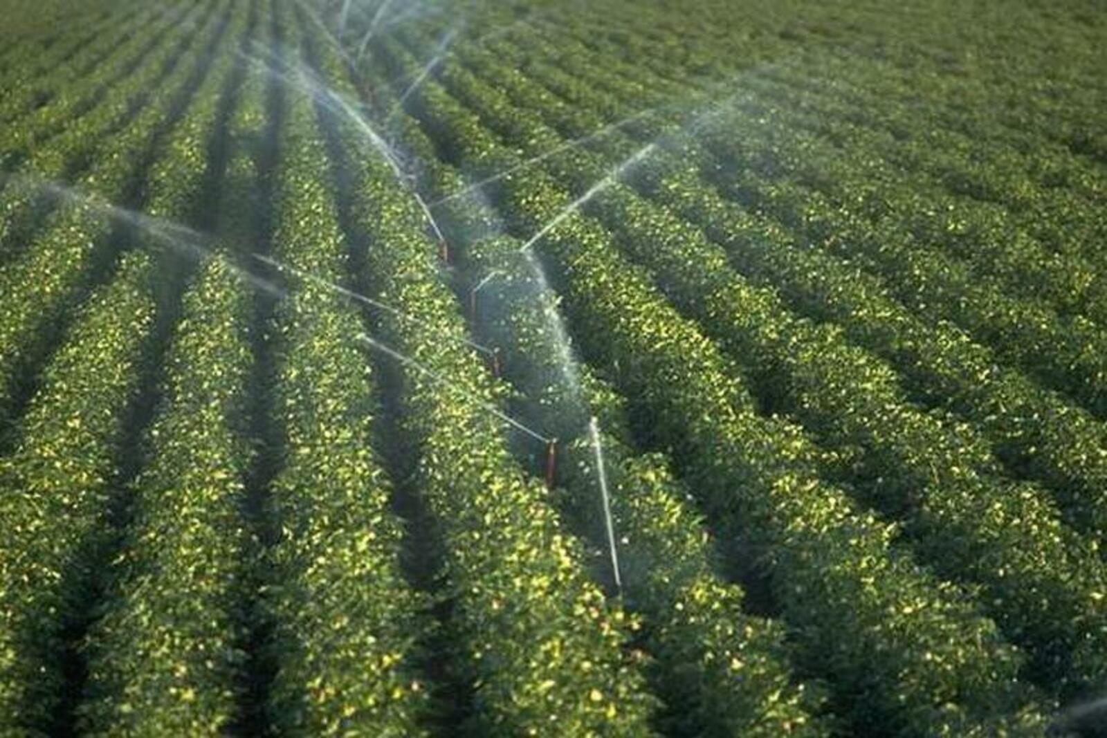 agri-news.ru