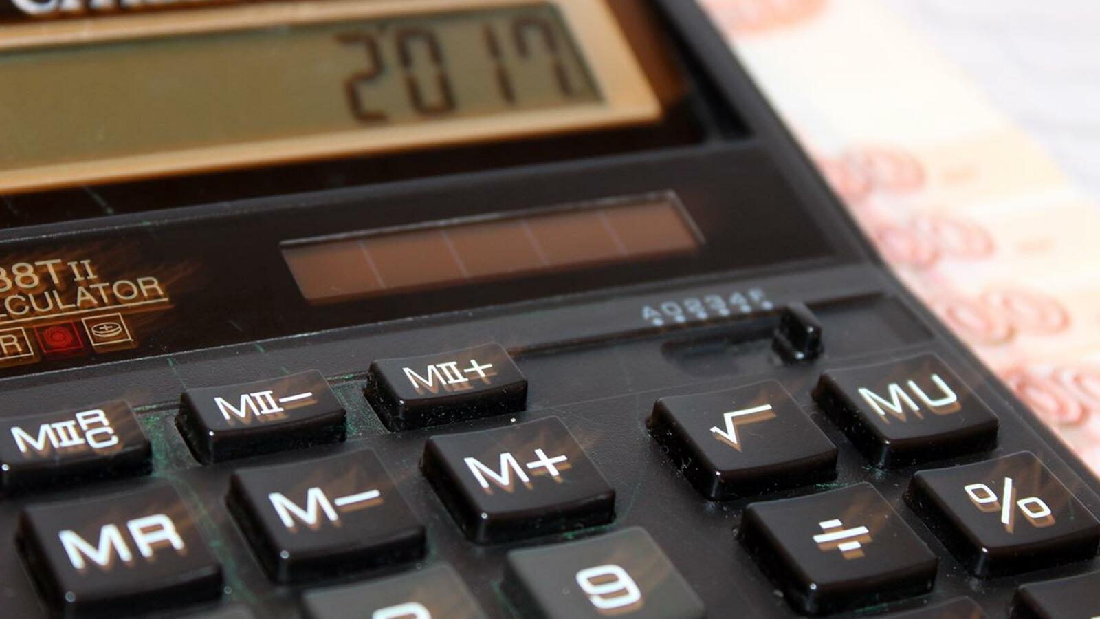 Карина Камаева