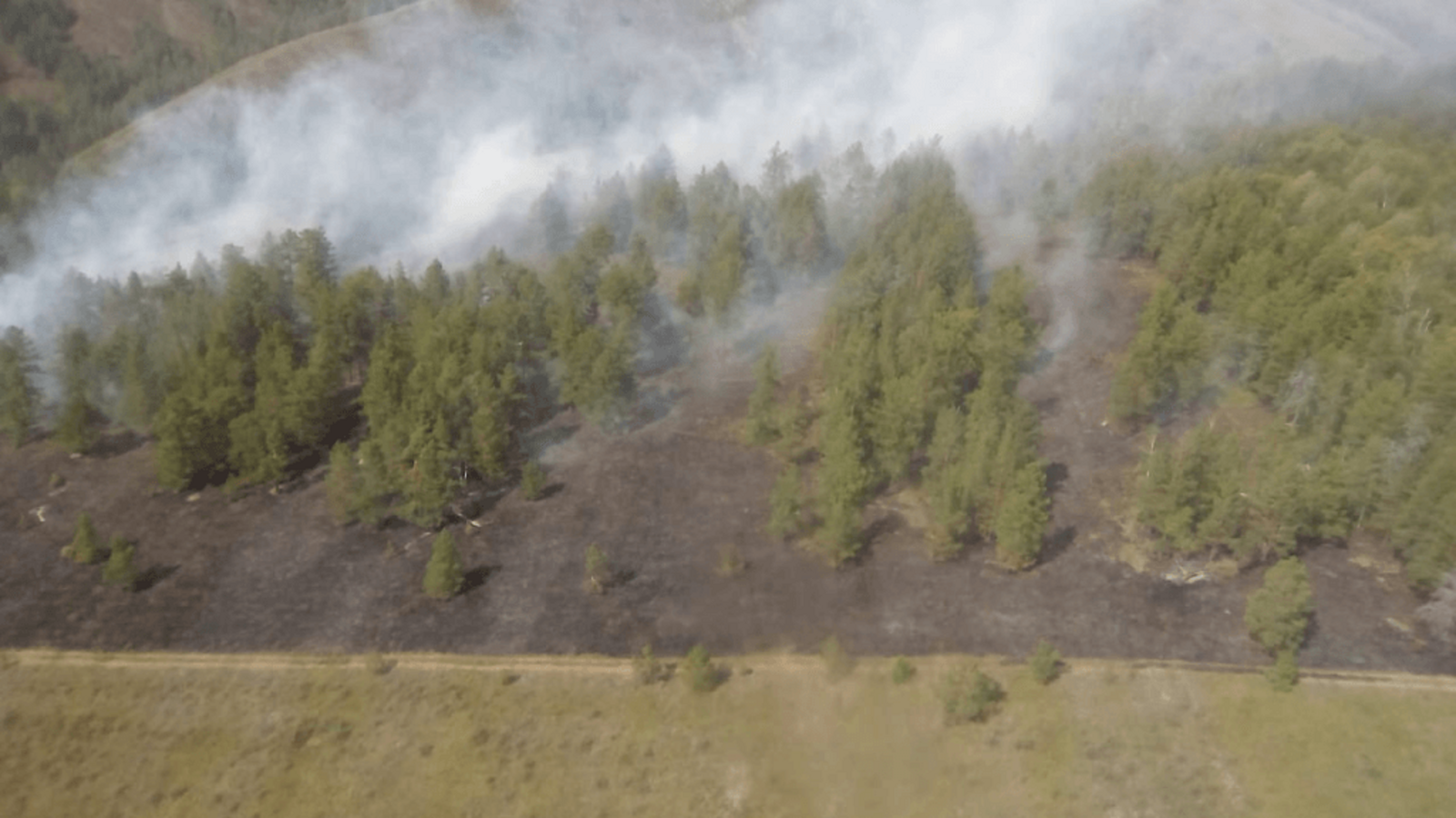 пресс-служба Минлесхоза