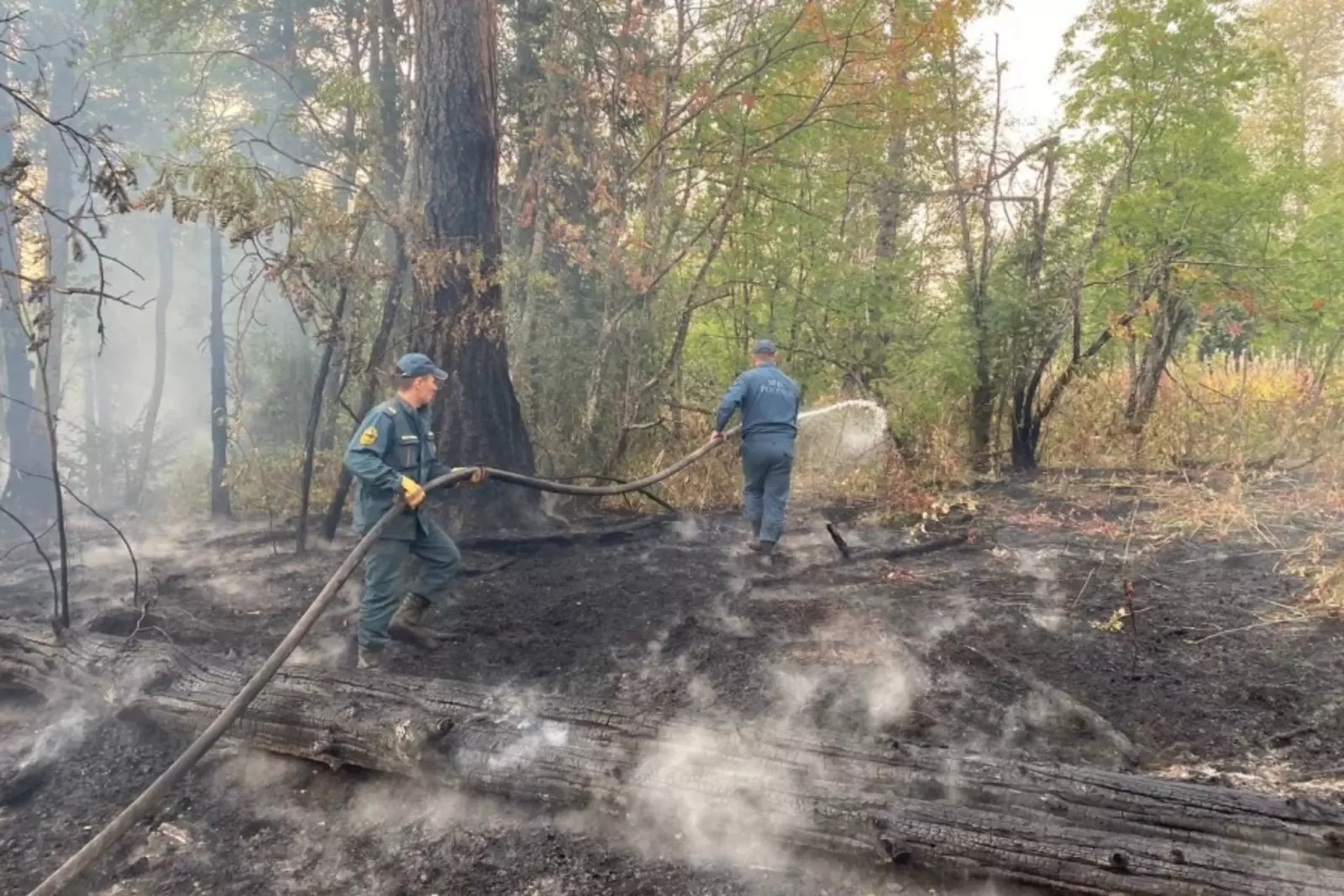 ЦУР Башкортостана продолжает следить за ситуацией с лесными пожарами в прямом эфире