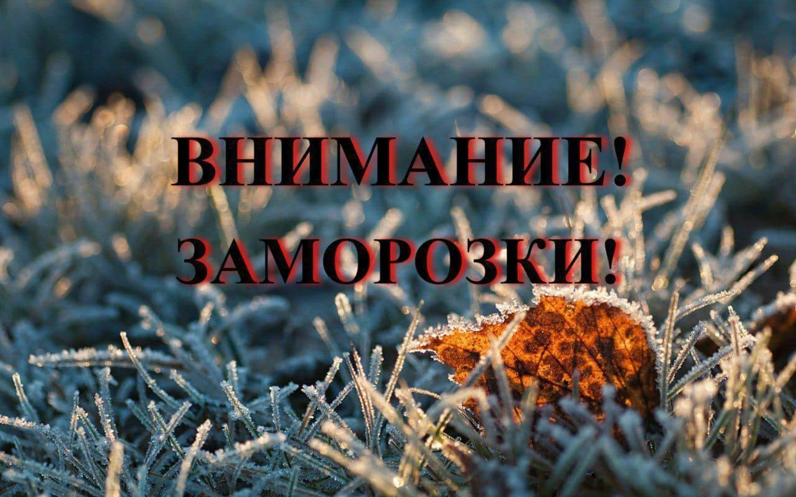 ГК РБ по ЧС