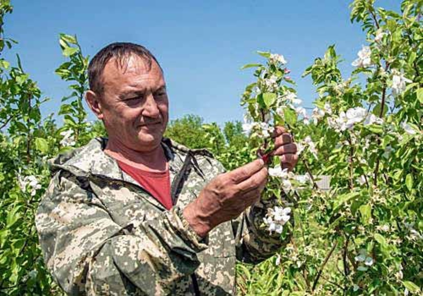 предоставлено администрацией Туймазинского района Фермер Руслан Тимершин: «Спрос на саженцы в этом году заметно вырос».