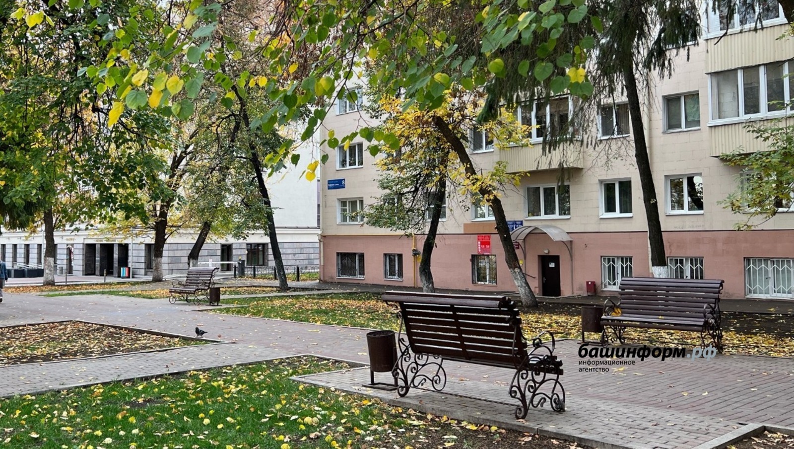 Ксения Калинина ИА «Башинформ»