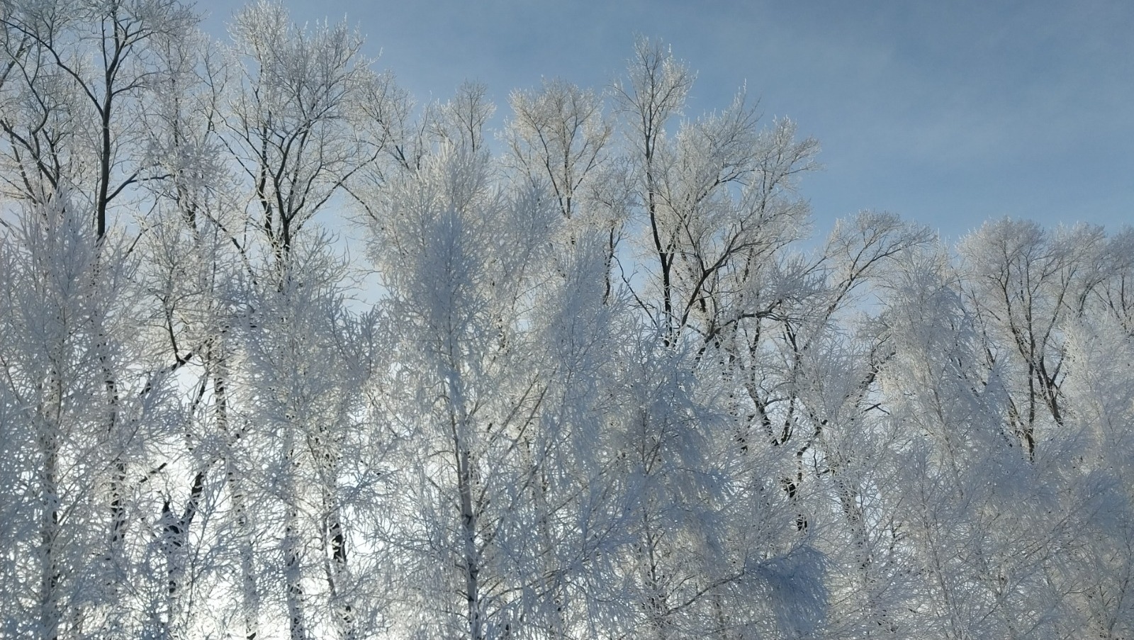 Автор   архив ИА «Башинформ»