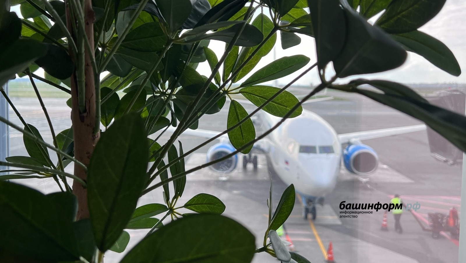 Ксения Калинина  ИА «Башинформ»