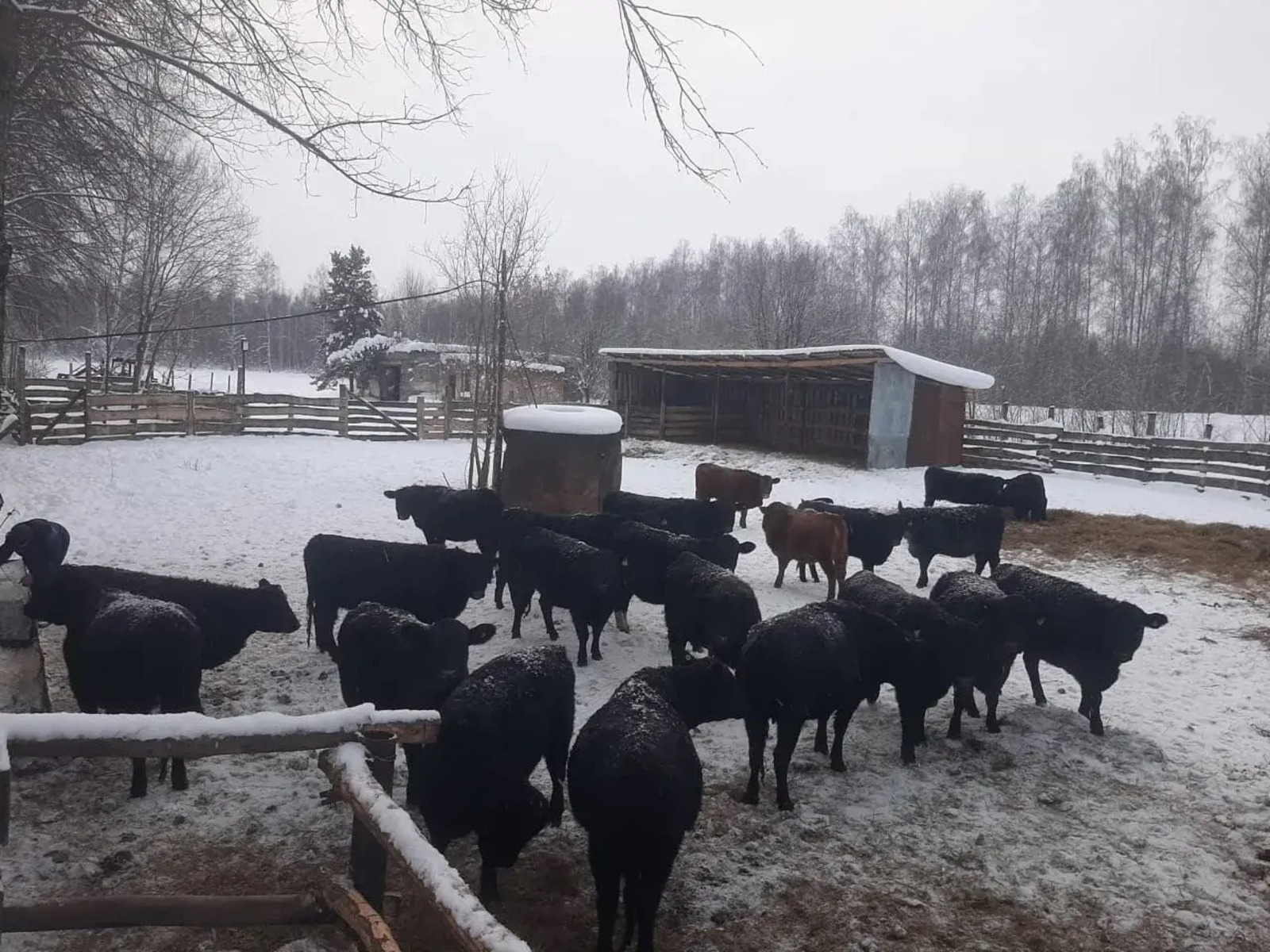группа для общения Радия Хабирова с бизнесом соцсети