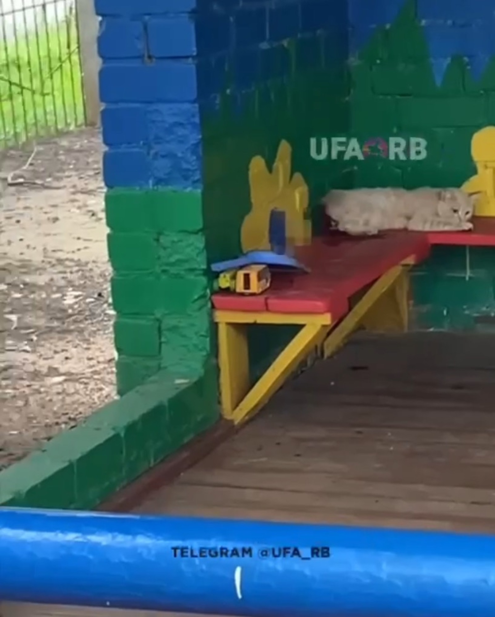 скриншот видео