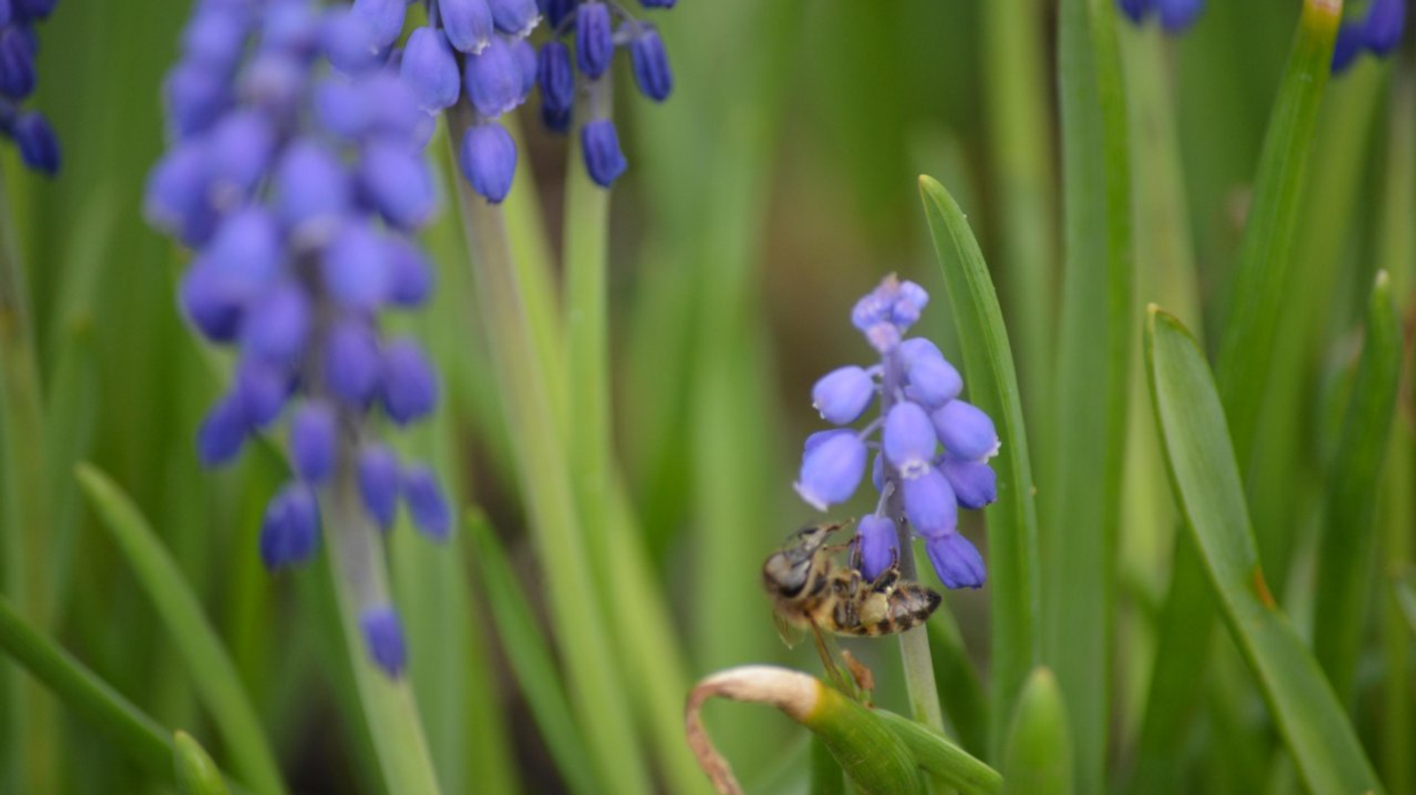 Ксения Калинина
