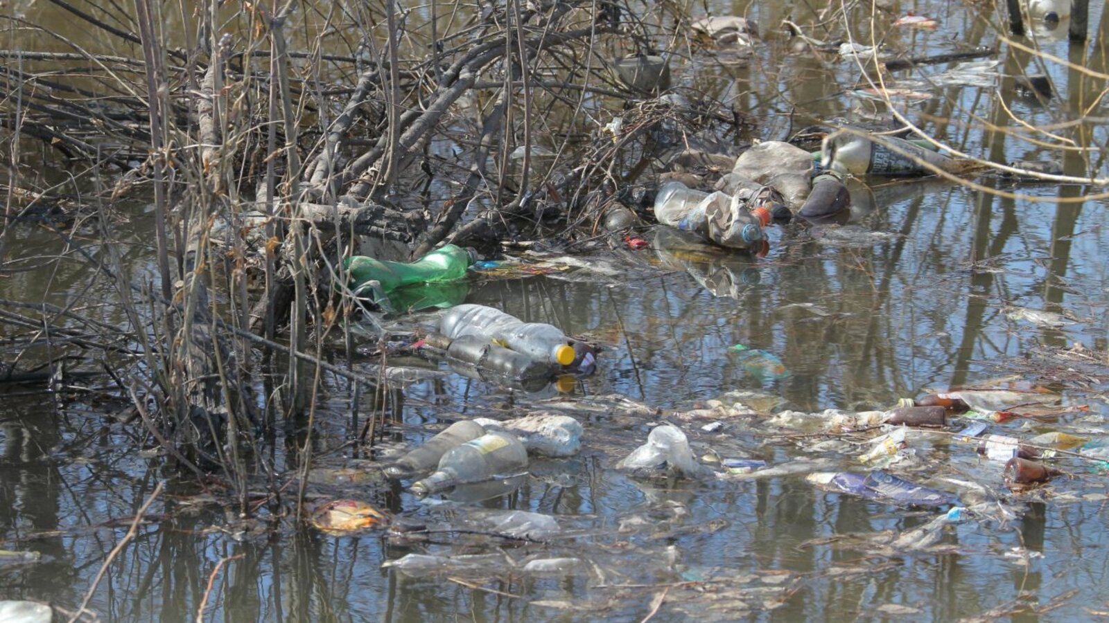 Олег Яровиков