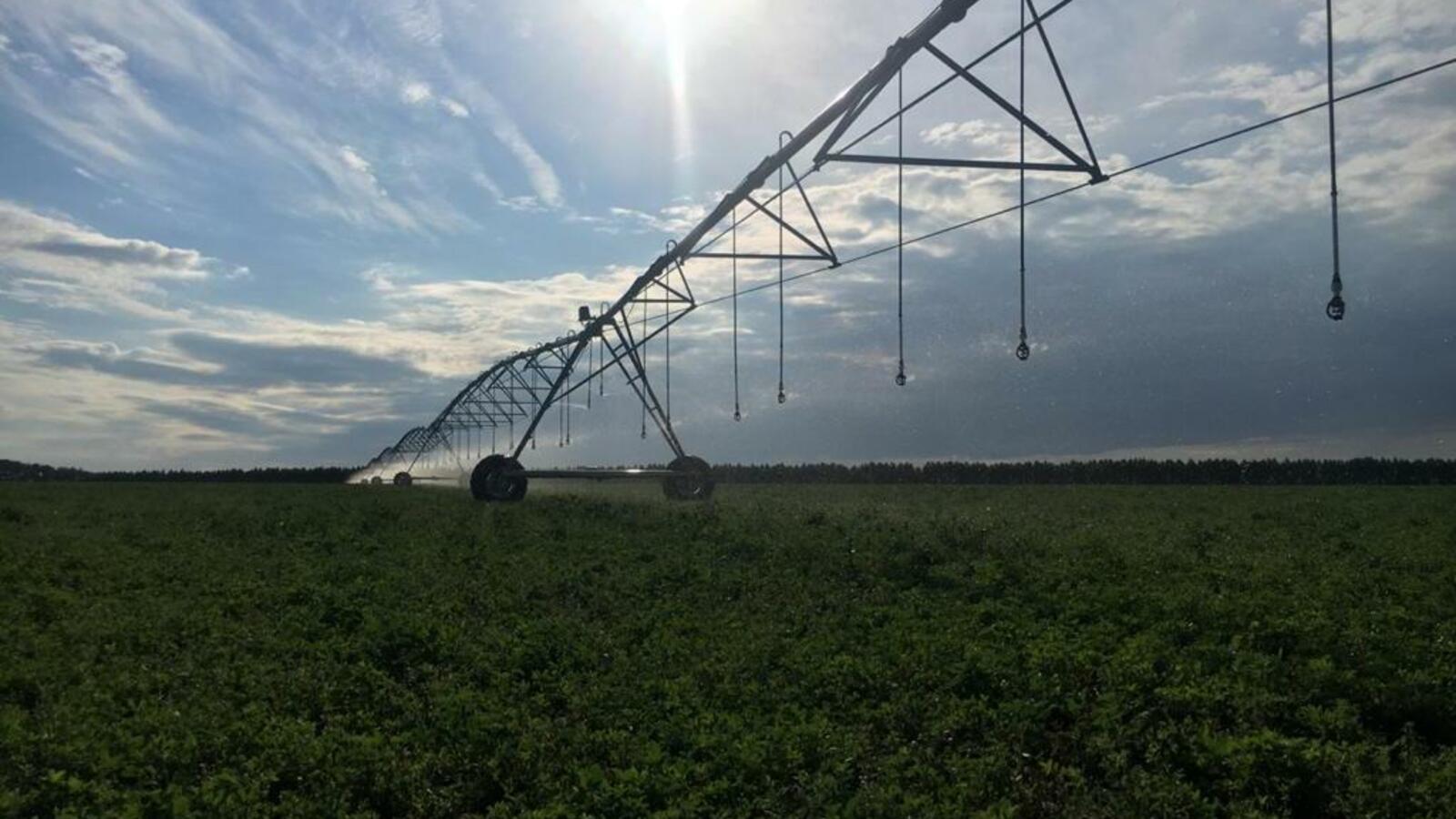 Минсельхоз РБ