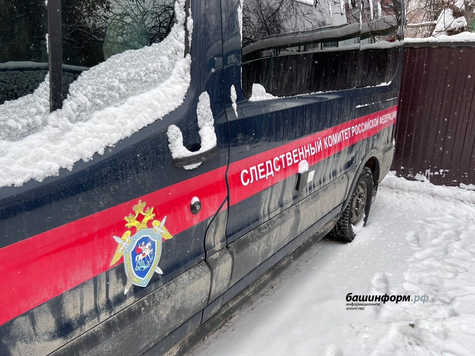 Ксения Калинина