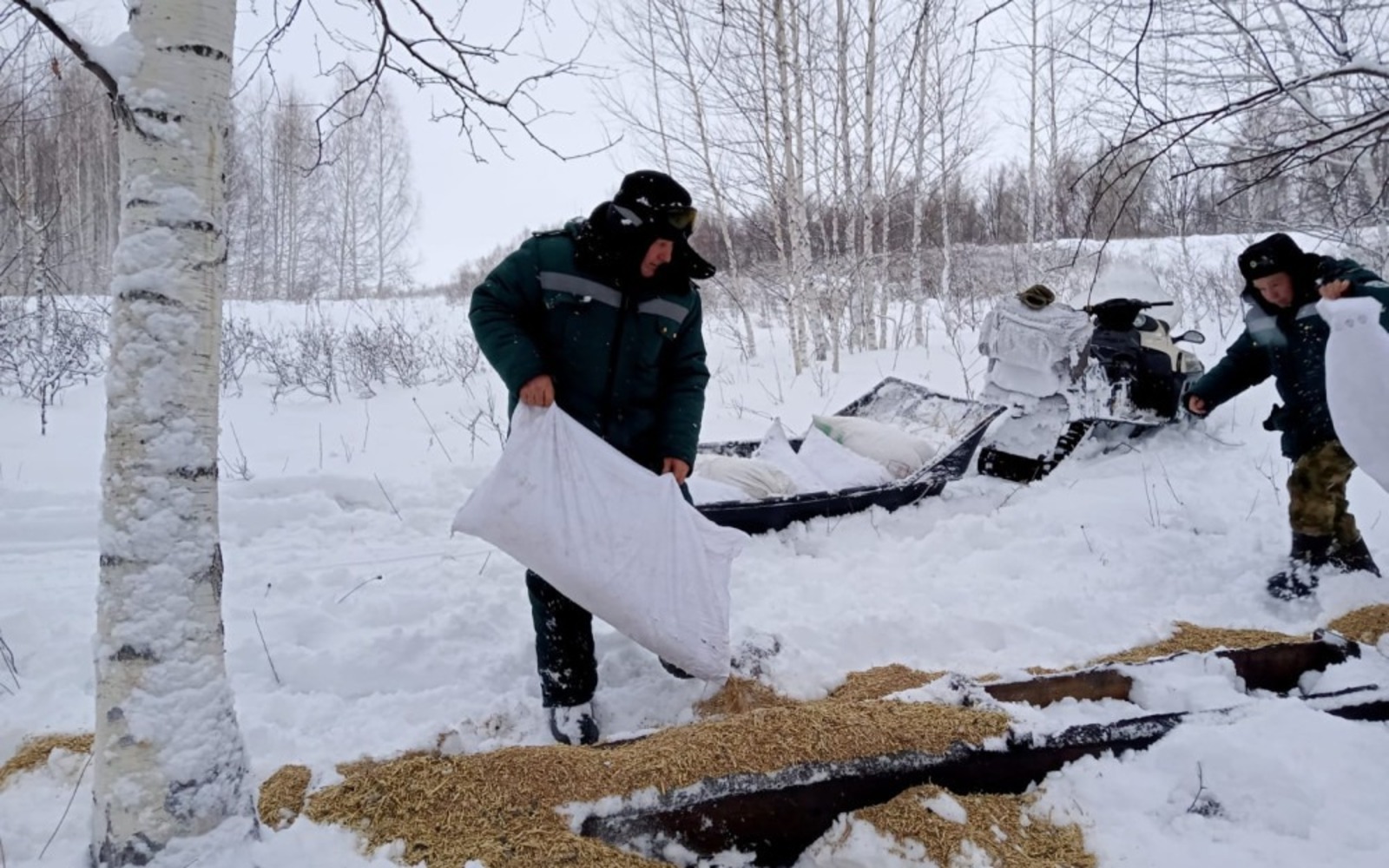 пресс-служба минэкологии Башкирии