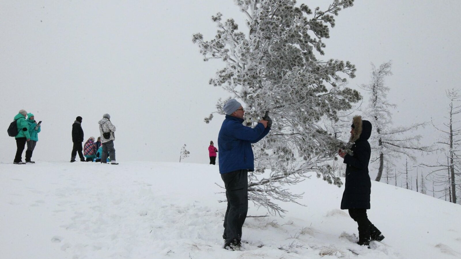 Олег Яровиков