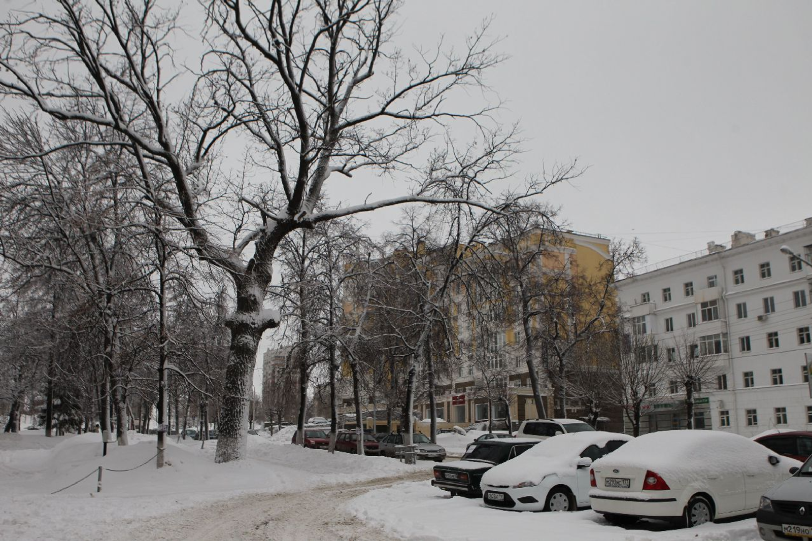 Олег Яровиков