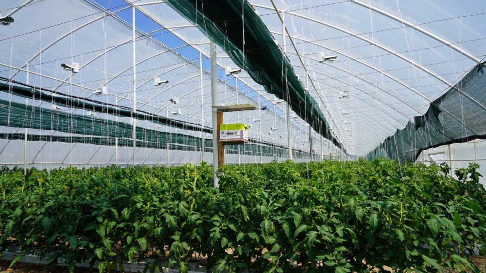 пресс - служба главы Башкортостана