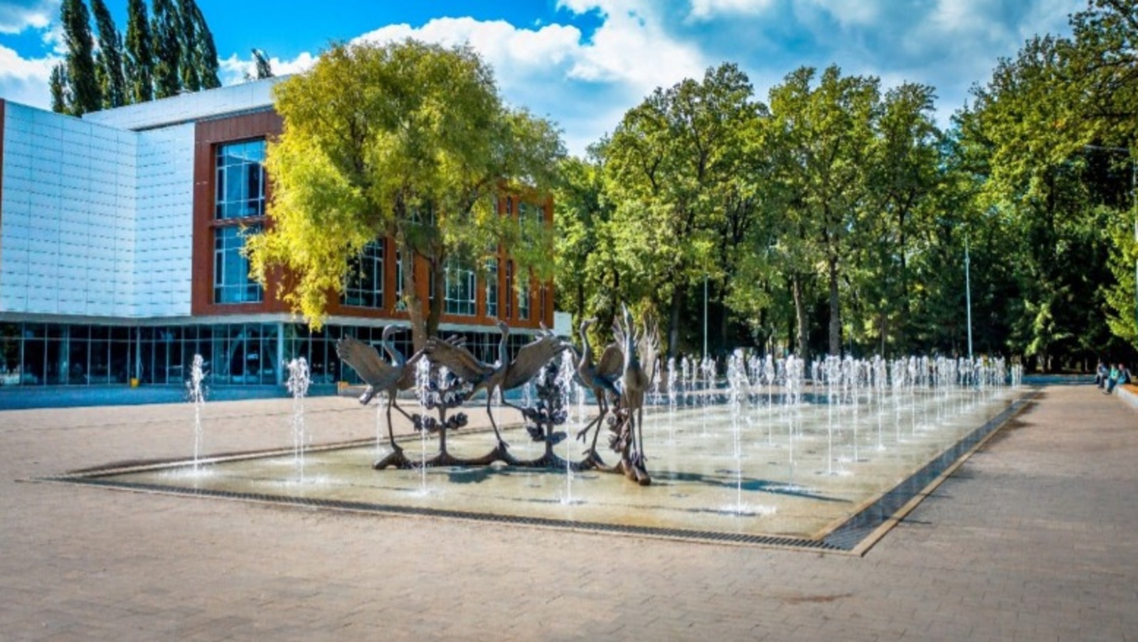 соцсети Радия Хабирова