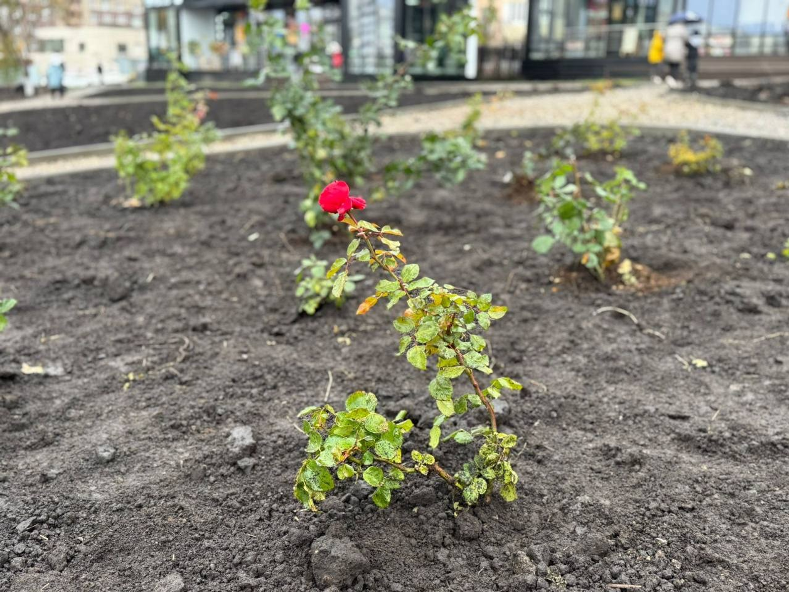 telegram-канал главы администрации Кировского района Уфы Илвира Нурдавлятова