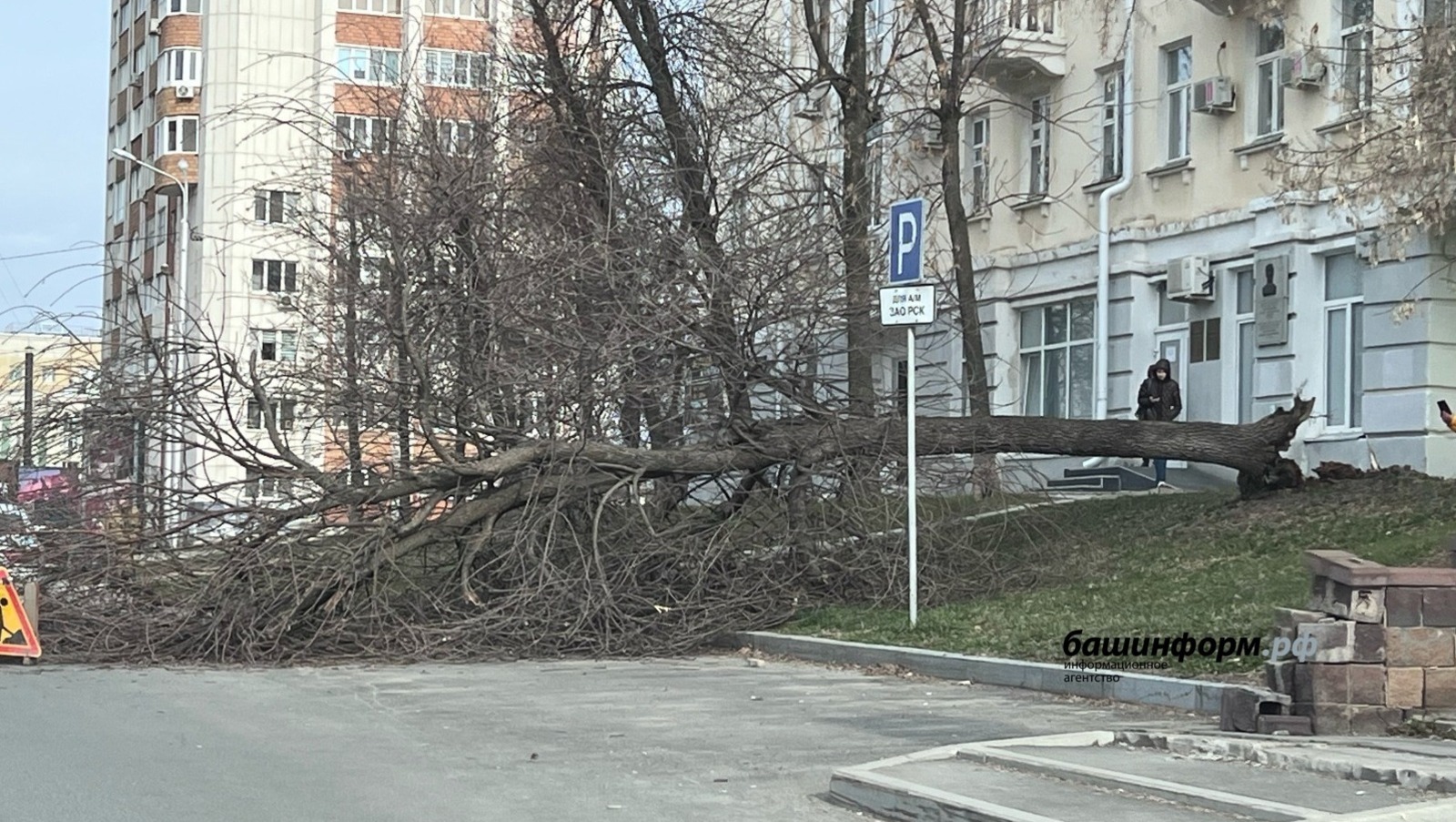 Ксения Калинина