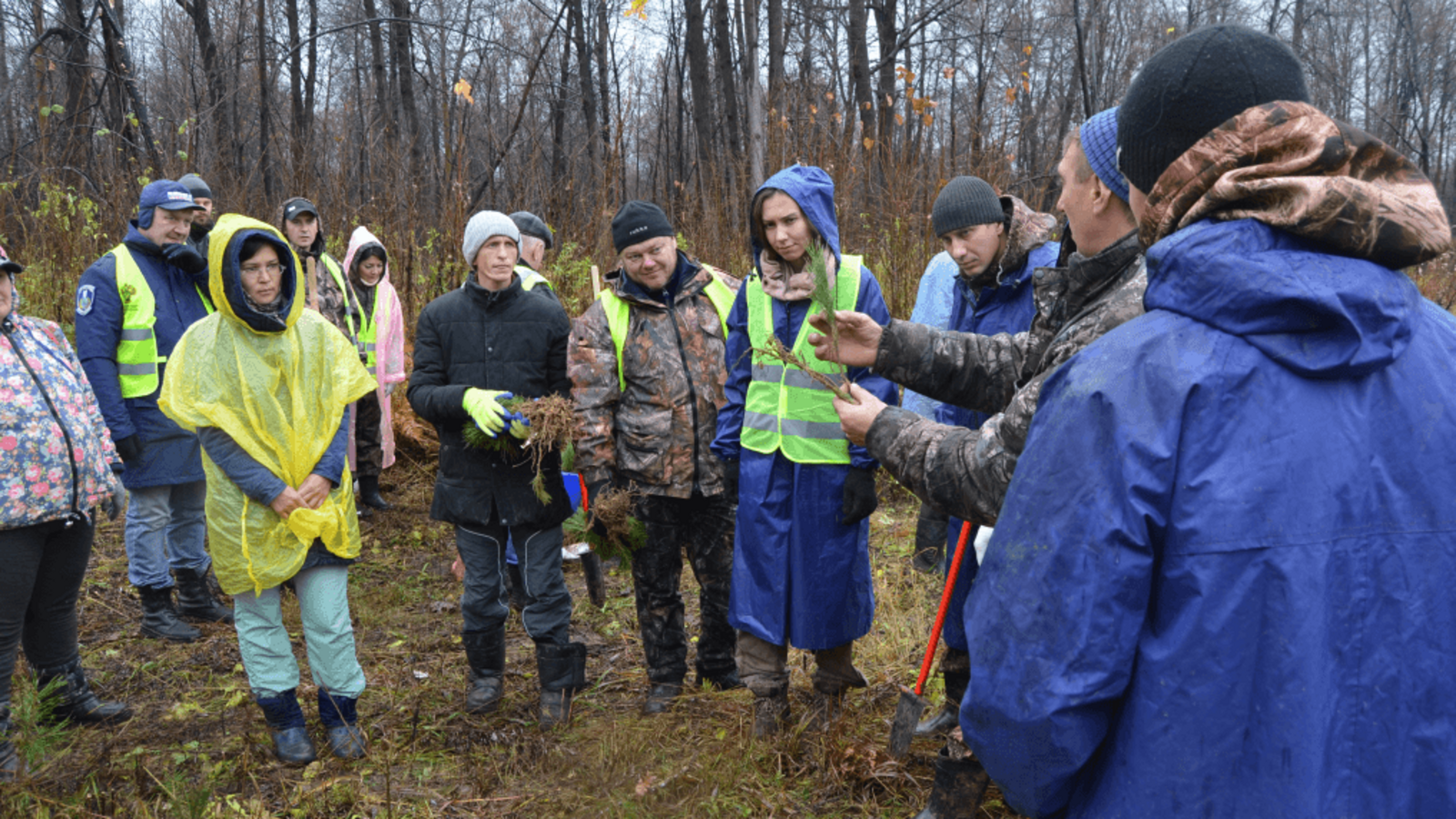 пресс-служба минлесхоза
