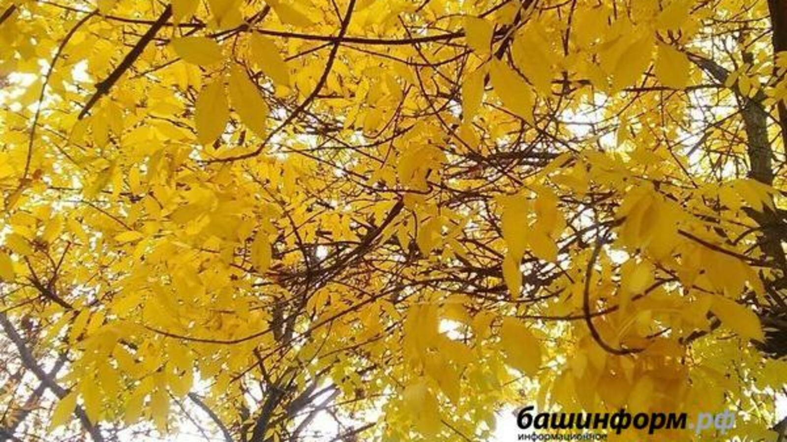 «Башинформ» мәғлүмәт агентлығы