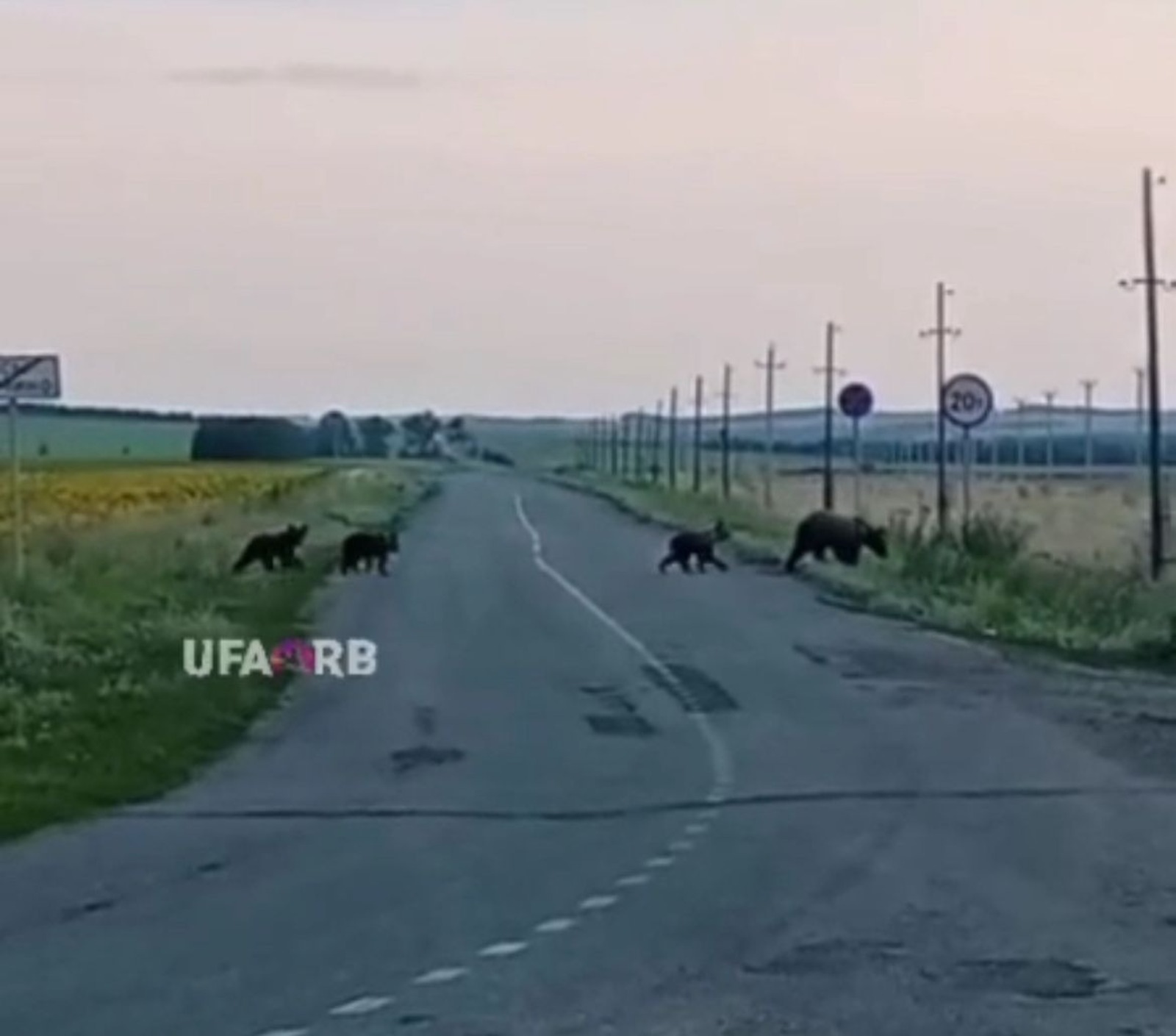 стоп-кадр видео @Ufa_rb | Новости. Уфа Башкортостан, Telegram