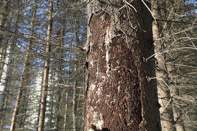 Пресс-служба Администрация г. Уфы
