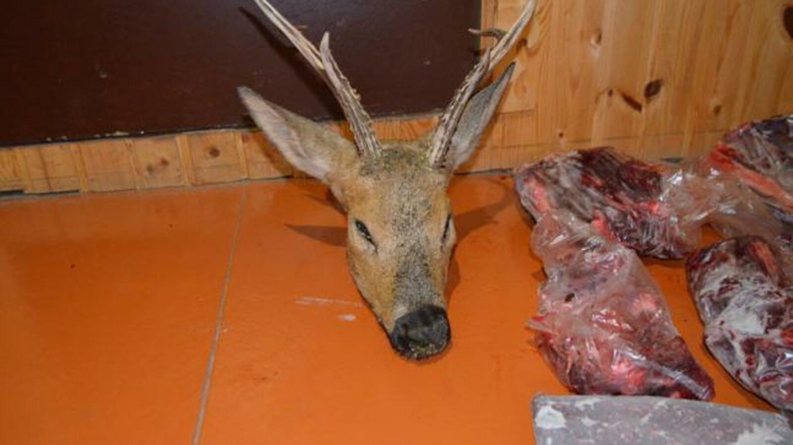 пресс-служба МВД по РБ