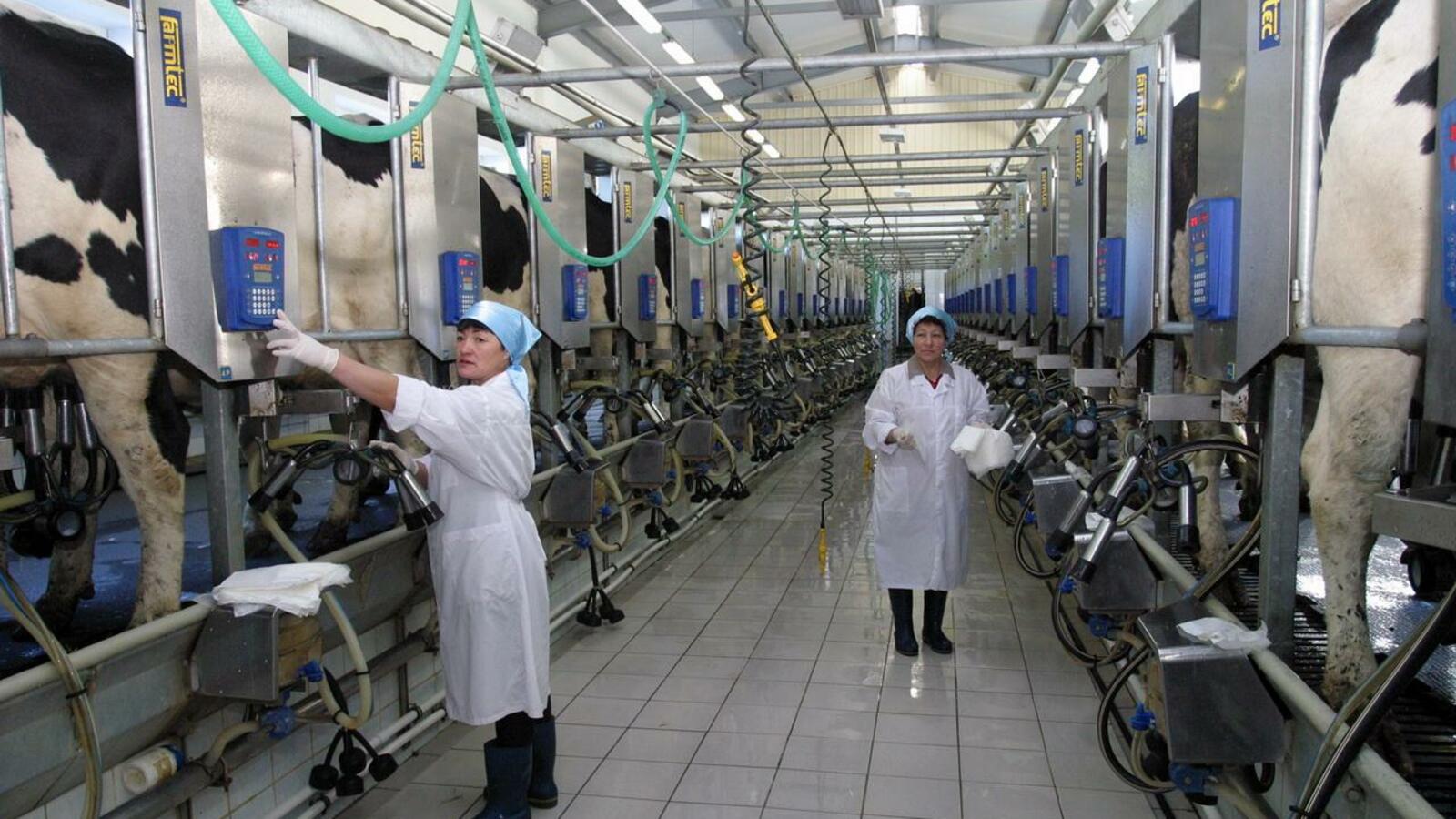 ИА «Башинформ»