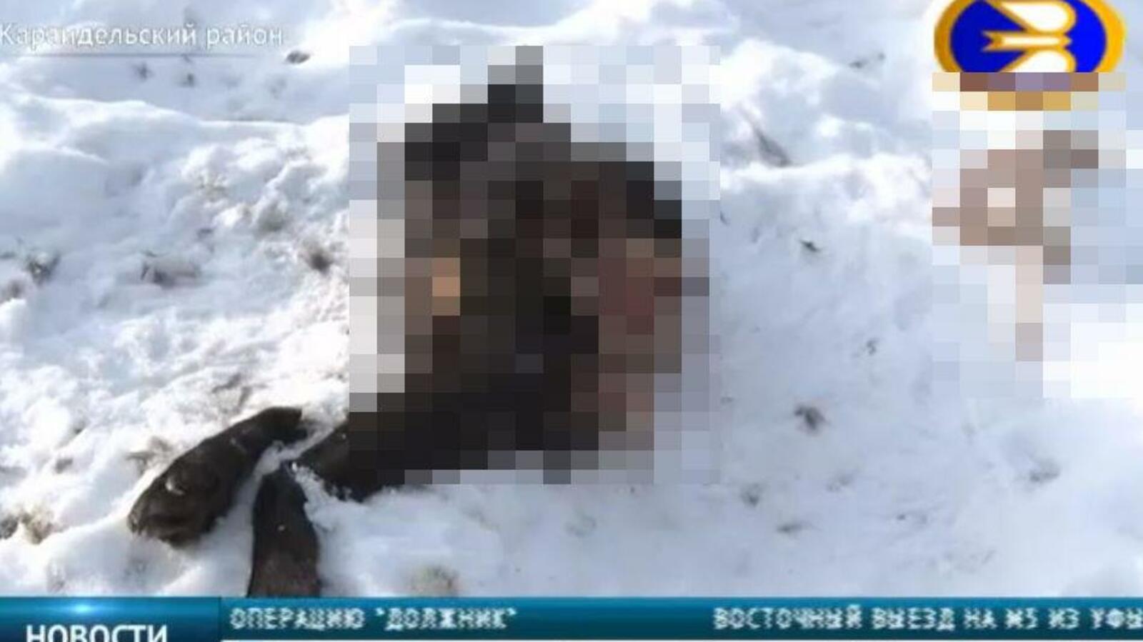 стоп-кадр видео БСТ