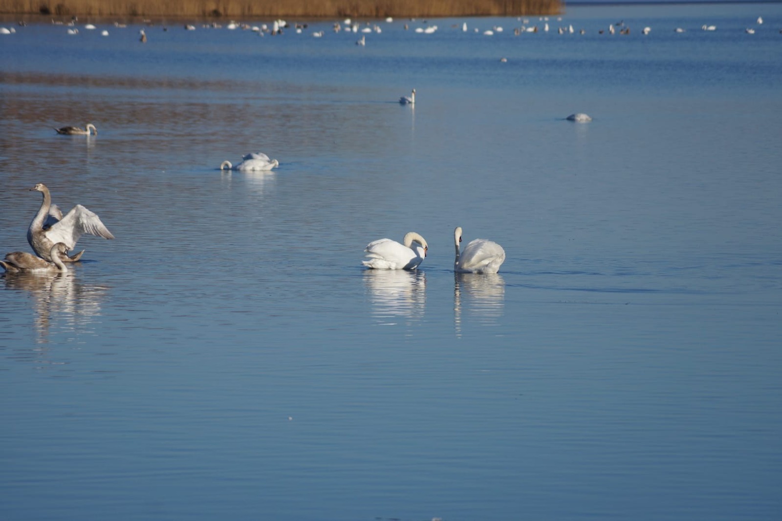 Ирина Сабирова минэкологии РБ