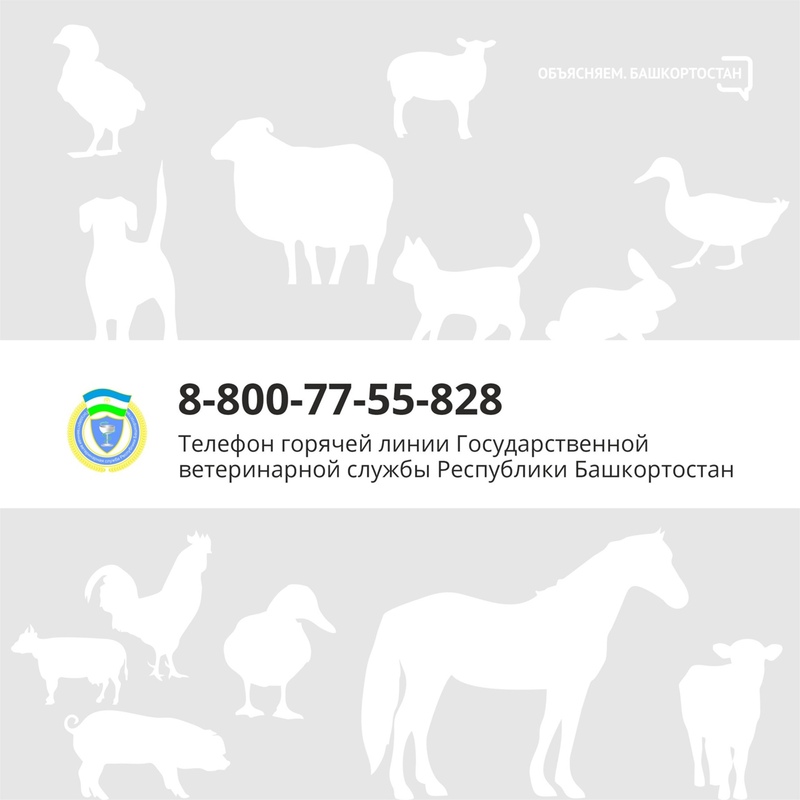 «Ветеринарный поезд» здоровья животных продолжает курсировать по Башкортостану