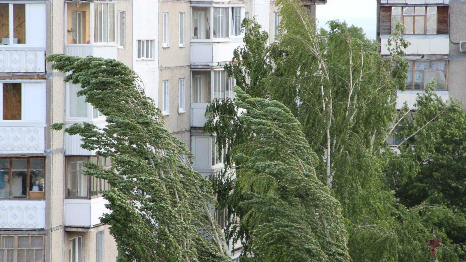 ИА «Башинформ»