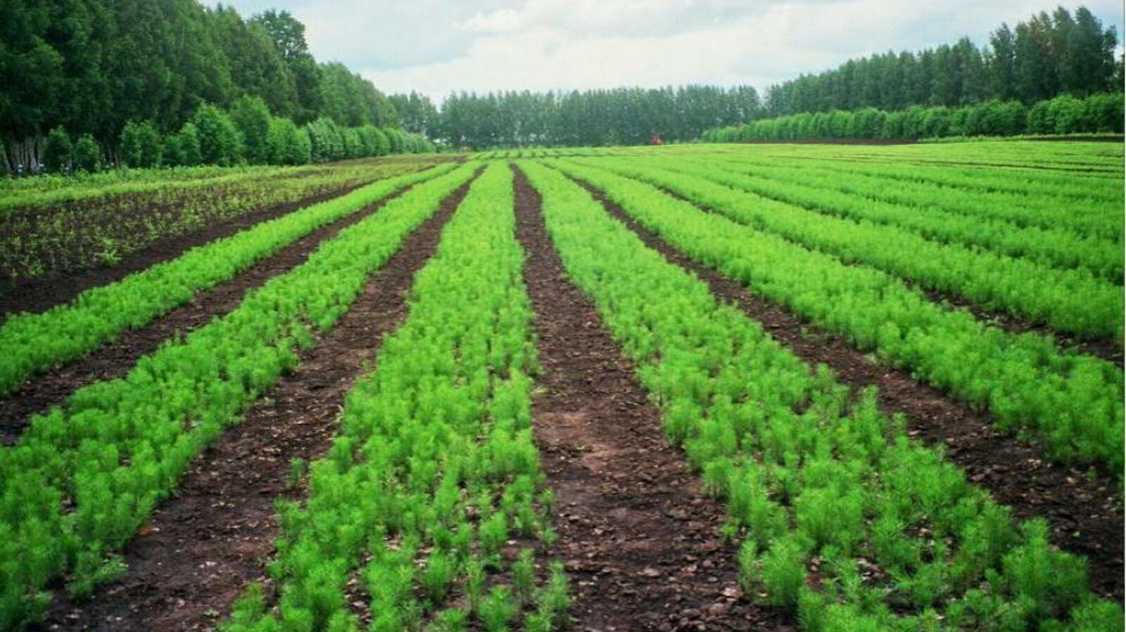 ИА «Башинформ»