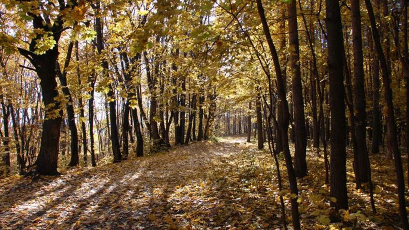 архив ИА «Башинформ»