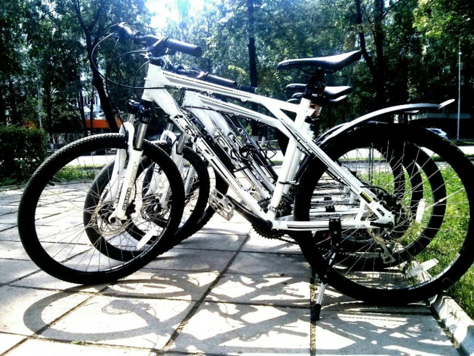 Фото украденных велосипедов предоставлено Жанной Исаевой.