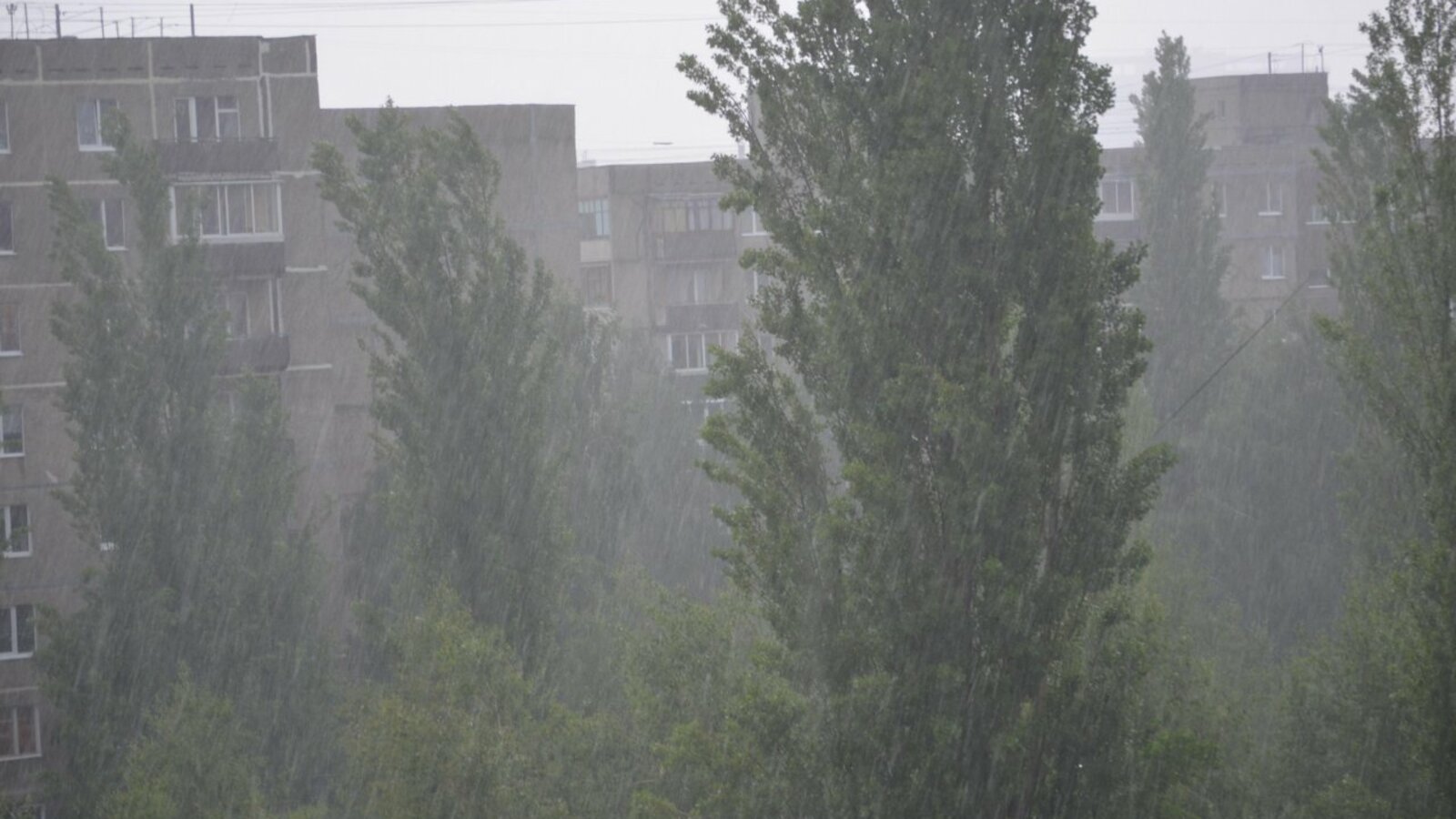 Ксения Калинина